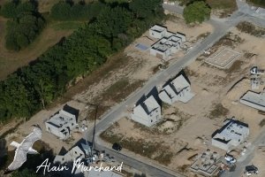 P1550097 2022 08 03 Allée Des Aigrettes, Des Spatules